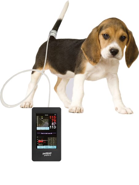 Тонометр Тонометр petMap Graphic II